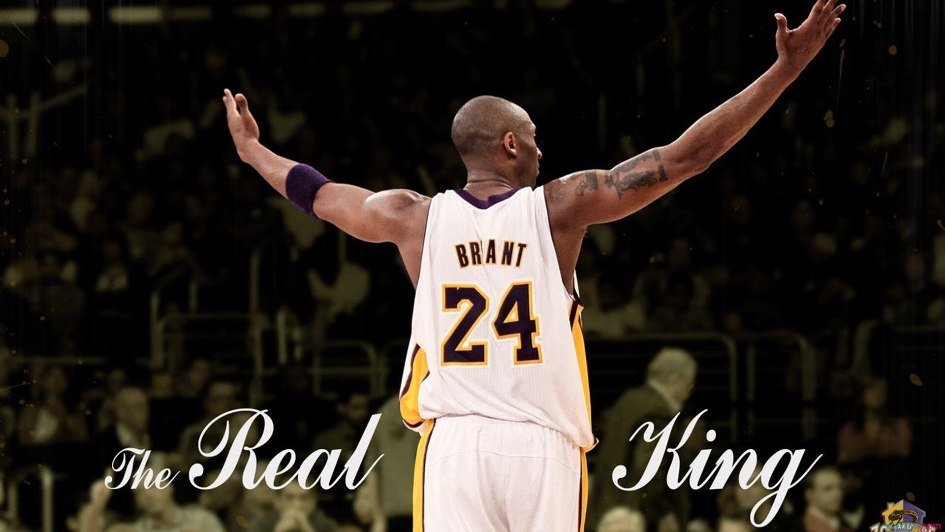 开云体育vip-“传球绝技曝光：职业球员传球背后的秘密技巧”，传球技术