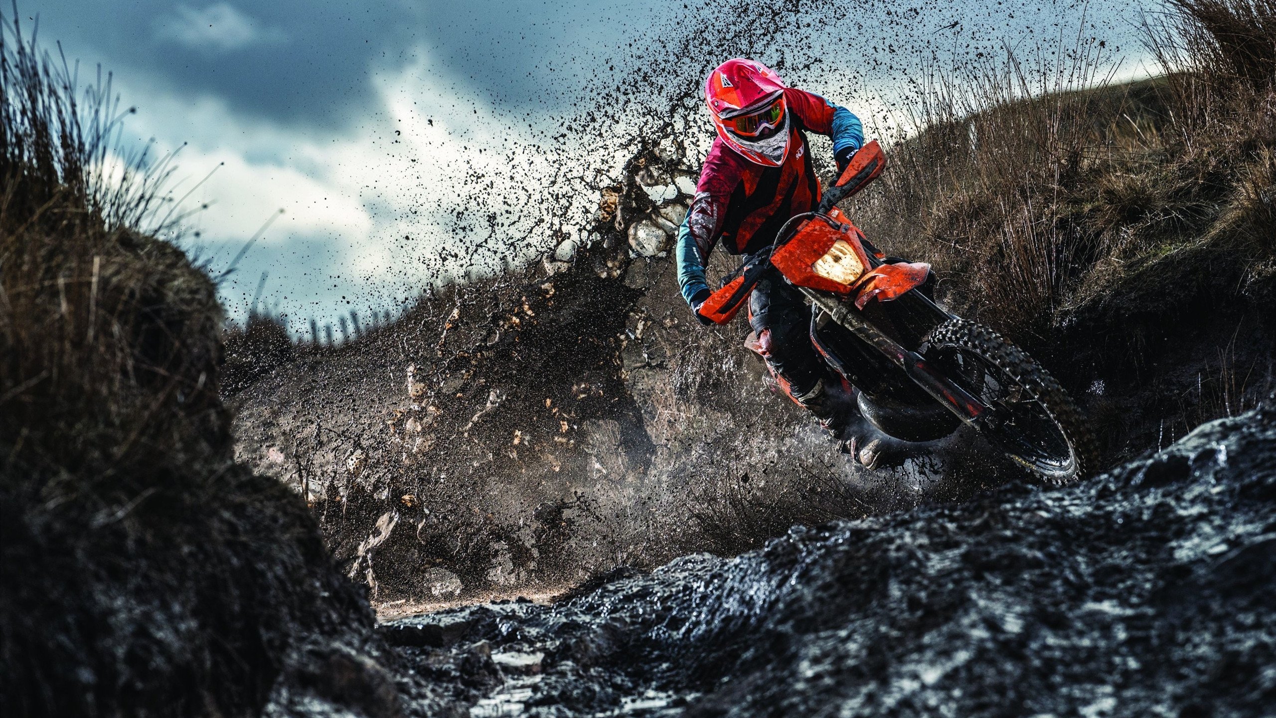 开云官网APP下载-“夜色狂飙：夜间赛段的惊悚体验”，夜色啤酒怎么样