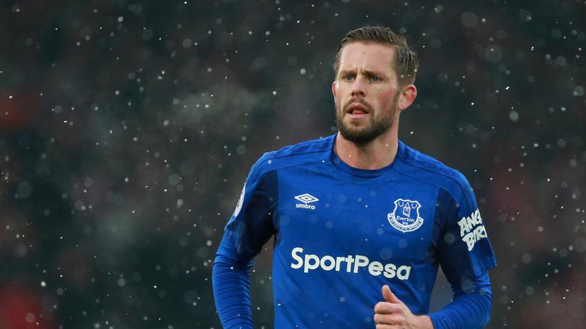 “德甲最后关键战役，冠军悬念依旧持久”，历届德甲揭幕战